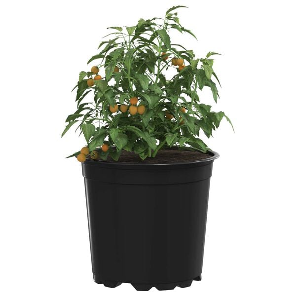 Viser 3 av 11 produktbilde(r)
