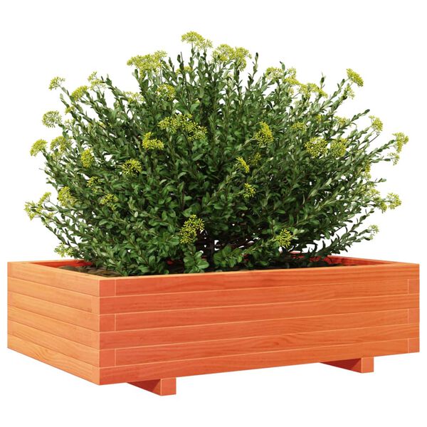 Viser 4 av 10 produktbilde(r)