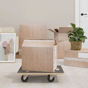 vidaXL Transporttraller 2 stk rektangul&aelig;r 50x35x11,5 cm 250 kg