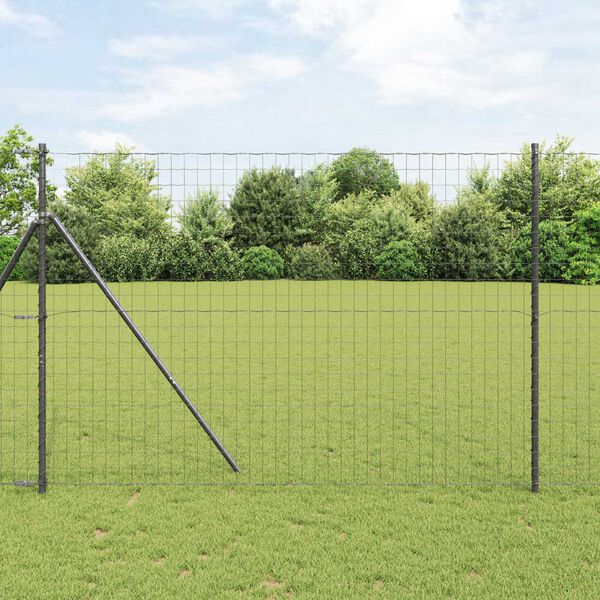 vidaXL Euro gjerde Svart 1.6 x 10 m PVC-belagt jern