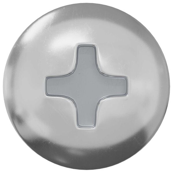 vidaXL Selvgjengende Spiker 12 pcs Sinkbelagt 4 x 20 mm St&aring;l