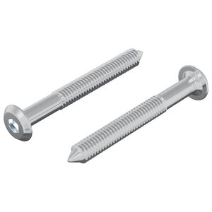 vidaXL Skrue 2 pcs s&oslash;lv M6 x 50 mm St&aring;l