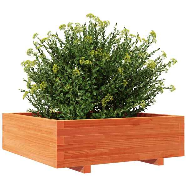 vidaXL Plantekasse voksbrun 80x80x26,5 cm heltre furu
