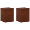 vidaXL Planteholder 2 pcs Rusten 30 x 30 x 40 cm Cortenst&aring;l