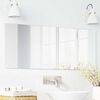 vidaXL Veggspeil Rektangulær 40 x 100 cm herdet glass