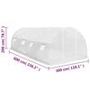 vidaXL Drivhus 18m&sup2; 600x300x200 cm