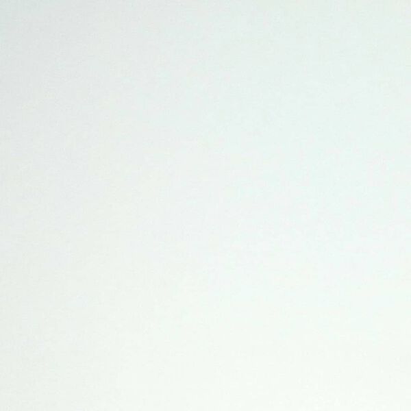 DUTCH WALLCOVERINGS Renovasjonsfleece for veggtapet hvit