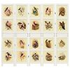 vidaXL Romdivider Panel Hvit 176,5 x 165 cm MDF