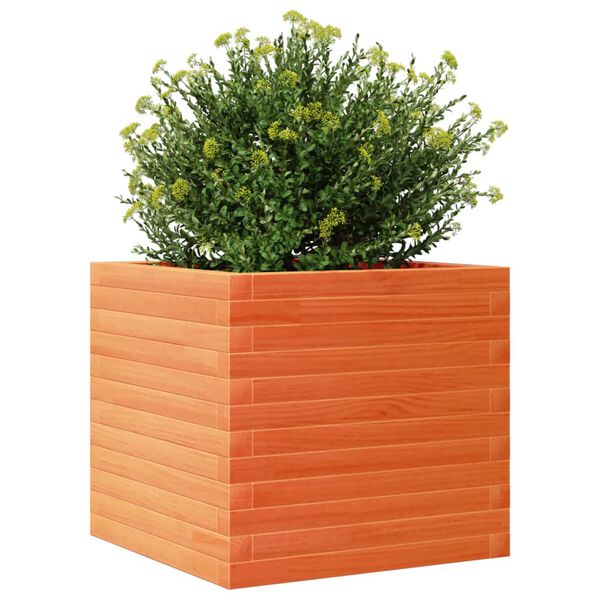 Viser 4 av 10 produktbilde(r)