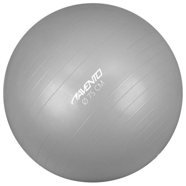 Avento Fitnessball diameter 75 cm s&oslash;lv