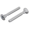 vidaXL Skrue 2 stk. Sinkbelagt 5 x 40 mm Jern