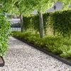 Miniatyrbilde av produktet 2 av 9