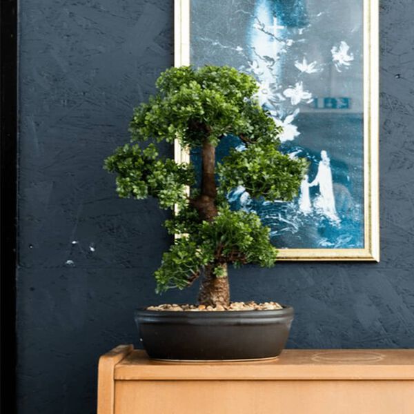 Emerald Artificial Ficus Mini Bonsai i brun potte 43 cm