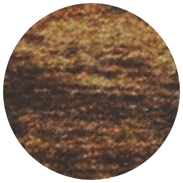 vidaXL Klebende skrue deksel 2 pcs Gammelt tre &Oslash; 20 x 0,5 mm