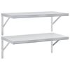 vidaXL Vegghyller 2 stk 75x40 cm s&oslash;lv rustfritt st&aring;l