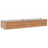 Wood_brown