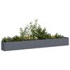 Miniatyrbilde av produktet 2 av 9