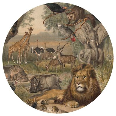 WallArt Tapetsirkel Animals of Africa 190 cm