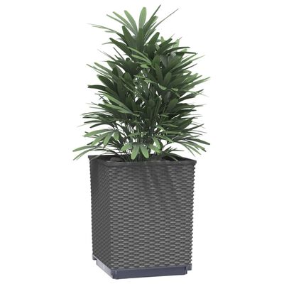 vidaXL Plantekasser 2 stk svart 30x30x37 cm polypropylen