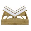 vidaXL Drivhus 2 stk impregnert furu 100x50x35 cm