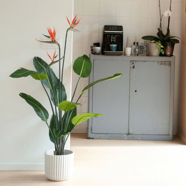 Emerald Kunstig plante Strelitzia i potte med blomster 120 cm