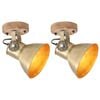 vidaXL Industrielle vegg-/taklamper 2 stk messing 20x25 cm E27