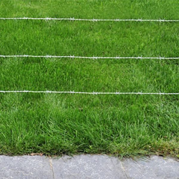 vidaXL Piggtråd sølv 50 m Varmgalvanisert stål