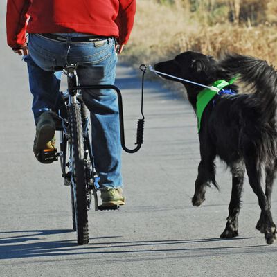 SPRINGER Sykkelbåndsett for hund