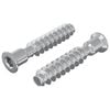 vidaXL Hodekapskrue 2 stk. s&oslash;lv M7 x 40 mm St&aring;l
