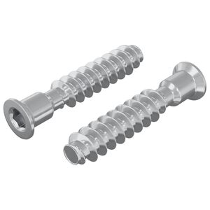 vidaXL Hodekapskrue 2 stk. S&oslash;lv M7 x 40 mm St&aring;l