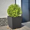 Miniatyrbilde av produktet 2 av 10