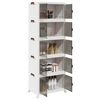 Miniatyrbilde av produktet 2 av 12