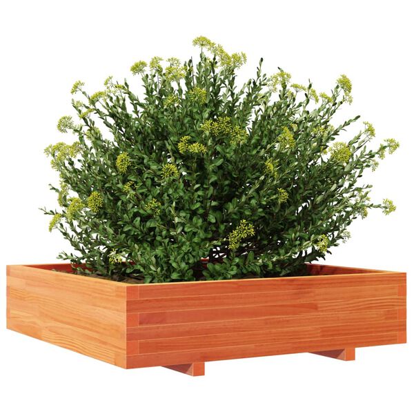 Viser 4 av 10 produktbilde(r)