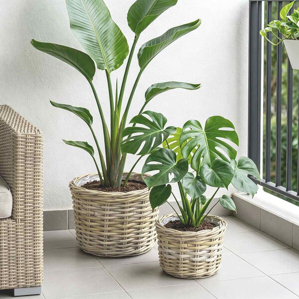 Viser 3 av 10 produktbilde(r)