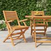 vidaXL Klappstoler 2 stk 55x62x90 cm heltre teak