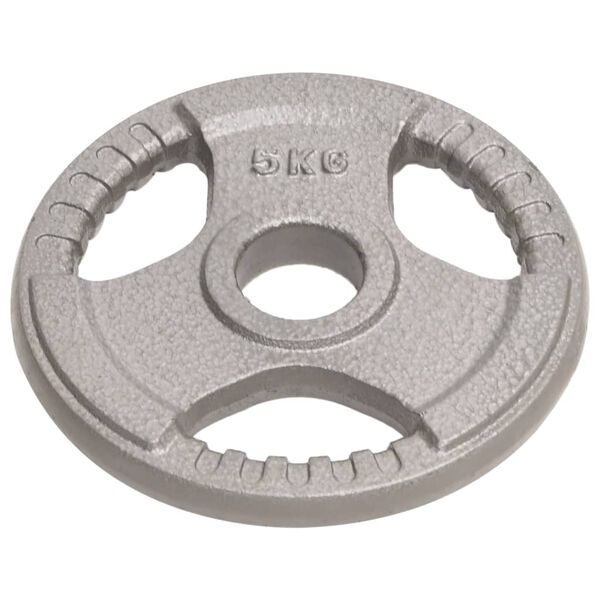 vidaXL Olympiske vektskiver 4 stk 20 kg st&oslash;pejern