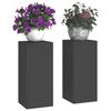 vidaXL Planteholder 2 pcs Svart 24 x 24 x 55 cm Stål
