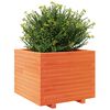vidaXL Plantekasse voksbrun 60x60x49,5 cm heltre furu