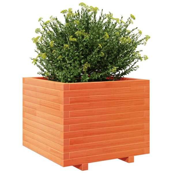 vidaXL Plantekasse voksbrun 60x60x49,5 cm heltre furu