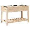 vidaXL Hageblomsterpotte Beige 115 x 59 x 76,5 cm Massiv Furu Tre