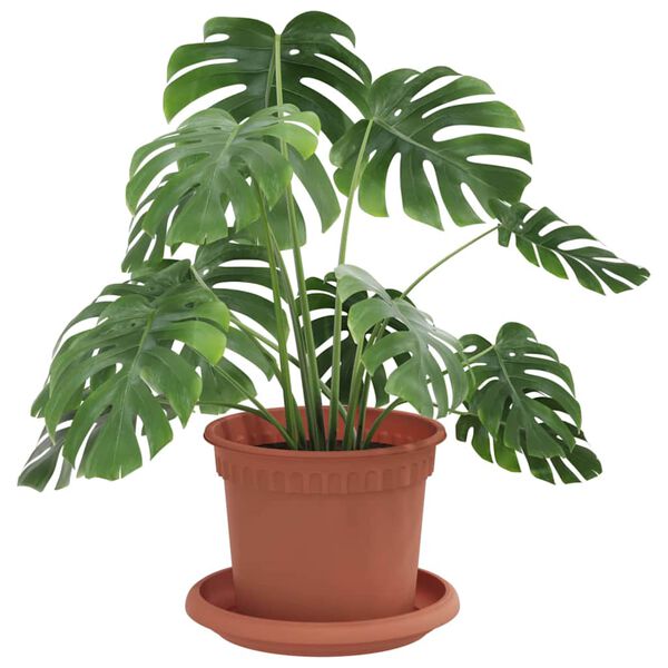 Viser 3 av 12 produktbilde(r)