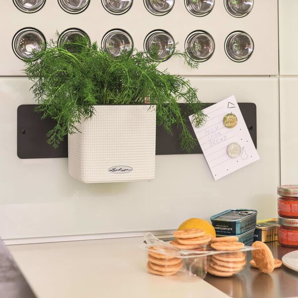 LECHUZA Urtekasser 3 stk Green Wall Home Kit hvit