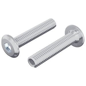 vidaXL L&aring;seskrue Ensfarget 2 pcs s&oslash;lv M6 x 30 mm St&aring;l