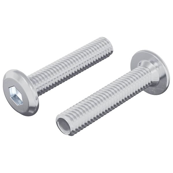 vidaXL L&aring;seskrue Ensfarget 2 pcs s&oslash;lv M6 x 30 mm St&aring;l