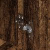 Miniatyrbilde av produktet 5 av 6