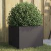 Miniatyrbilde av produktet 2 av 11