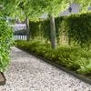Miniatyrbilde av produktet 2 av 9