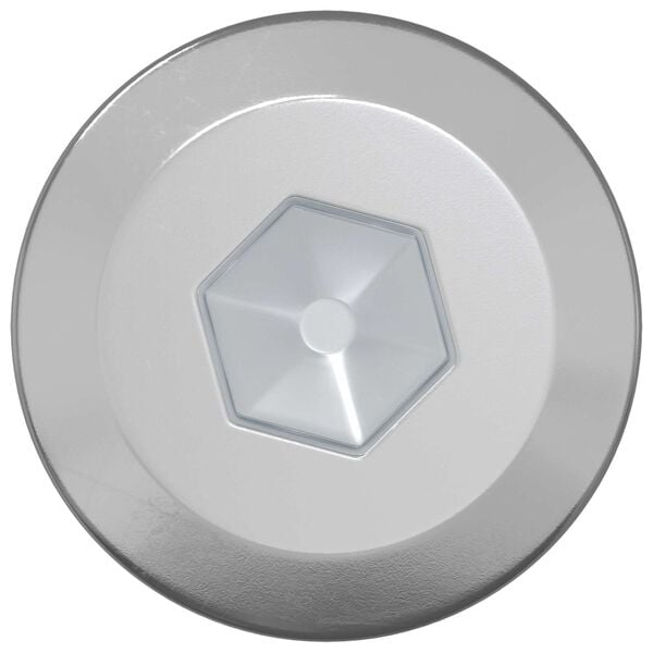 vidaXL Trefester 2 pcs s&oslash;lv M6 x 70 mm St&aring;l