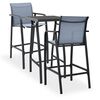 vidaXL Hagebarsett 3 deler svart og gr&aring;