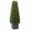 vidaXL Eukalyptus Gress T&aring;rn gr&oslash;nn 27 x 27 x 90 cm Plast
